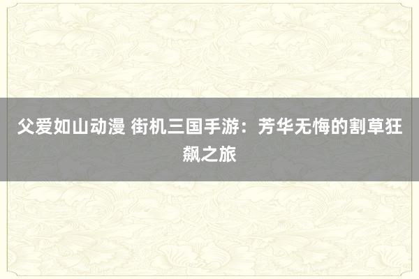 父爱如山动漫 街机三国手游：芳华无悔的割草狂飙之旅