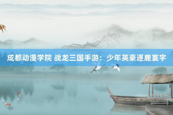 成都动漫学院 战龙三国手游：少年英豪逐鹿寰宇