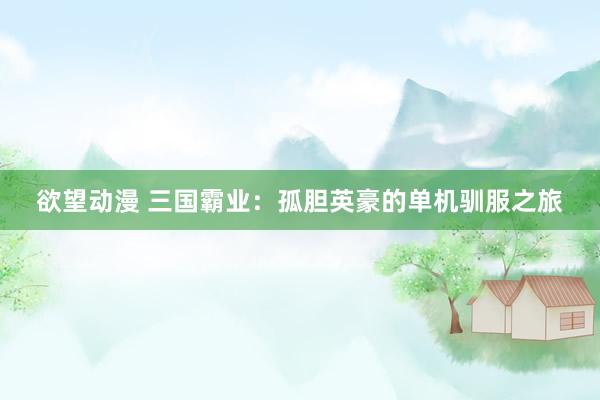 欲望动漫 三国霸业：孤胆英豪的单机驯服之旅