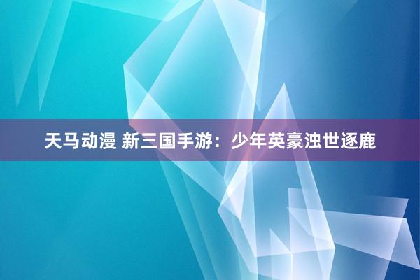 天马动漫 新三国手游：少年英豪浊世逐鹿