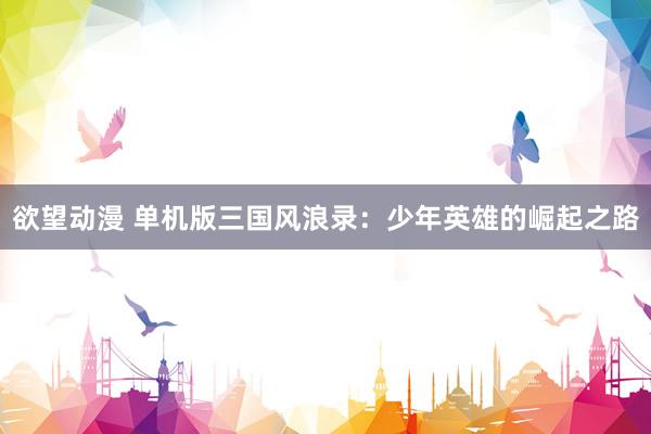欲望动漫 单机版三国风浪录：少年英雄的崛起之路