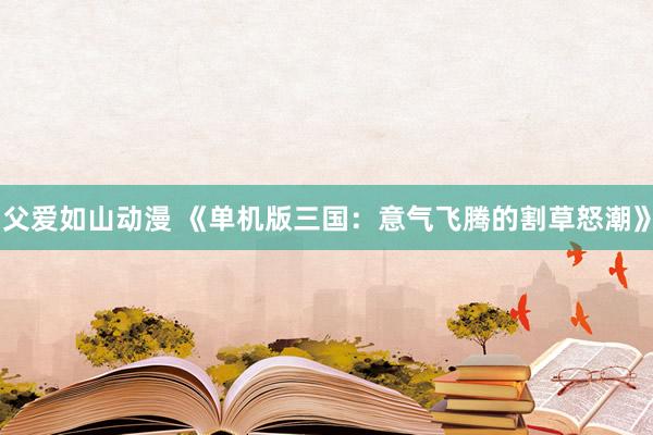 父爱如山动漫 《单机版三国：意气飞腾的割草怒潮》