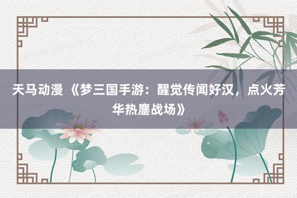 天马动漫 《梦三国手游：醒觉传闻好汉，点火芳华热鏖战场》