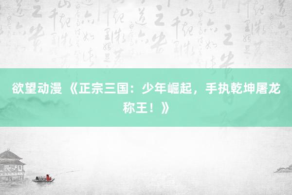 欲望动漫 《正宗三国：少年崛起，手执乾坤屠龙称王！》