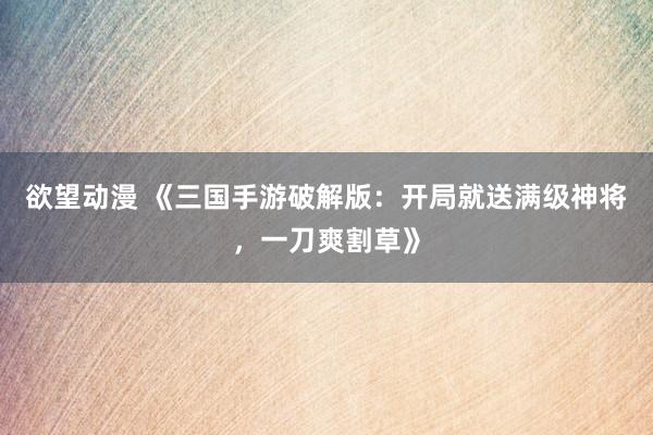欲望动漫 《三国手游破解版：开局就送满级神将，一刀爽割草》
