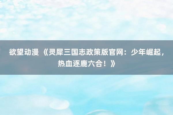 欲望动漫 《灵犀三国志政策版官网：少年崛起，热血逐鹿六合！》