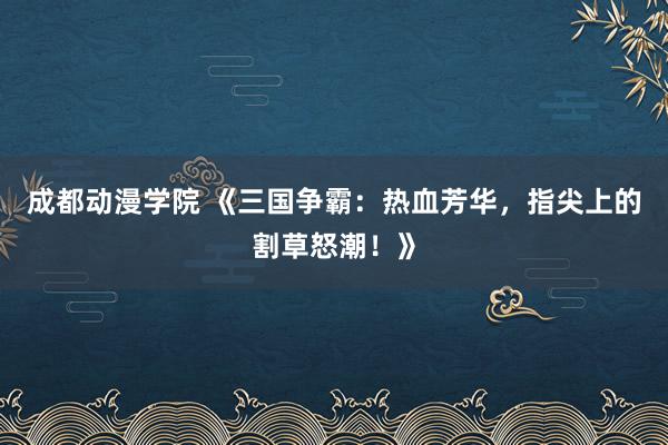 成都动漫学院 《三国争霸：热血芳华，指尖上的割草怒潮！》