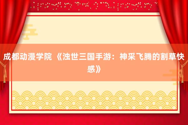 成都动漫学院 《浊世三国手游：神采飞腾的割草快感》