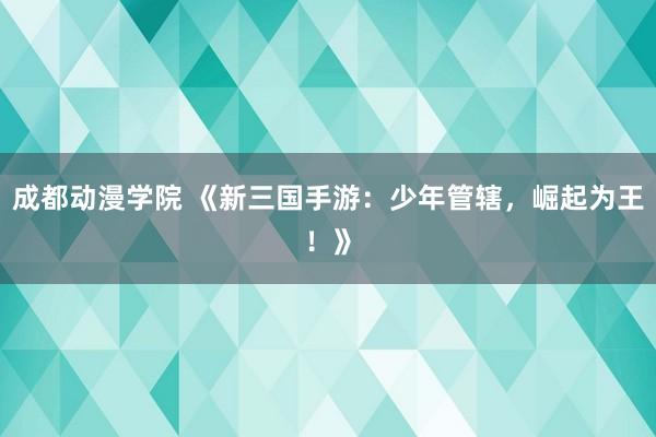 成都动漫学院 《新三国手游：少年管辖，崛起为王！》