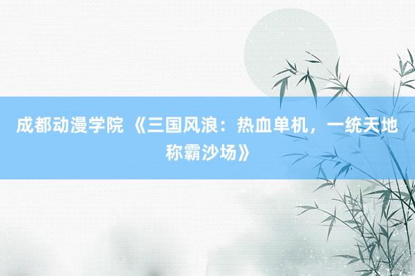成都动漫学院 《三国风浪：热血单机，一统天地称霸沙场》